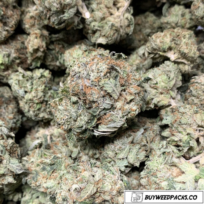 Buy Afghan Kush Online