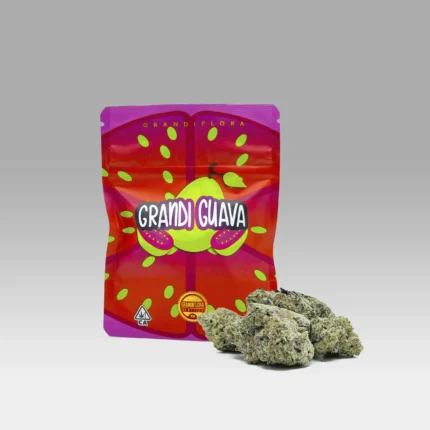 Grandi Guava Strain